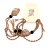 bracelet-necklace-string_008